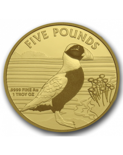 Alderney 2019 Puffin - Papageientaucher Gold 1 oz  100 Stück