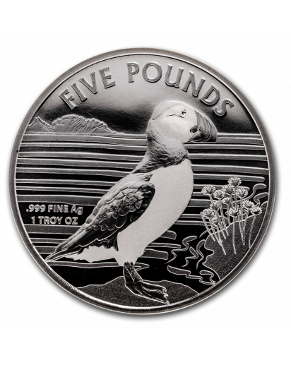 Alderney 2019 Puffin - Papageientaucher Silber 1 oz 
