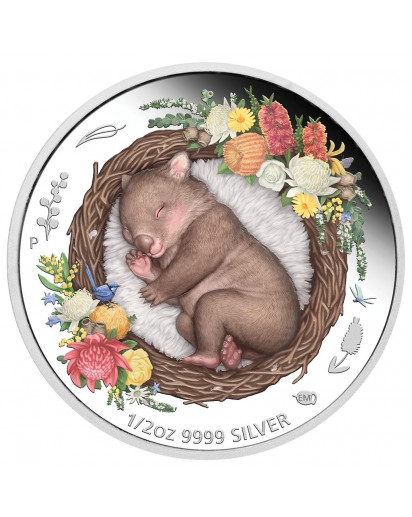 Australien 2021 WOMBAT - Serie Dreaming Down Under  Silber 1/2 oz  