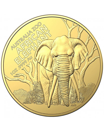 Australien 2022 AFRIKANISCHER ELEFANT Australia Zoo Gold 1 oz