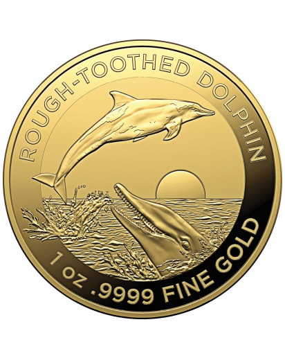 Australien 2023 ROUGH - toothed  Dolphin -  Rauzahn - Delphin Gold 1 oz