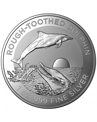 Australien 2023 ROUGH - toothed  Dolphin -  Rauzahn - Delphin Silber 1 oz