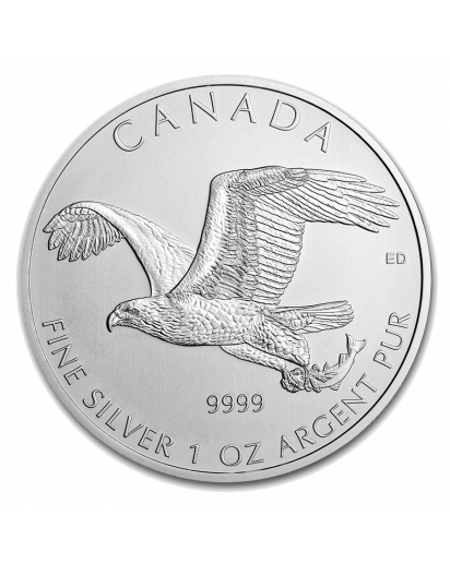 Canada 2014 Bald Eagle - Adler Birds of Prey