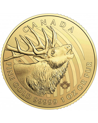 Canada 2017  Hirsch - Bulking Elk  Serie Call of the Wild   Gold 1 oz           