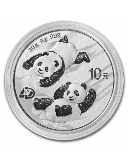 China 2022  Panda  Silber 30 g 