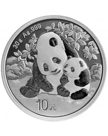 China 2024  Panda  Silber 30 g 