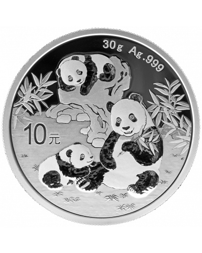 China 2025  Panda  Silber 30 g 