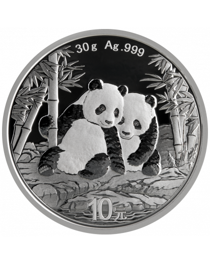 China 2026  Panda  Silber 30 g 