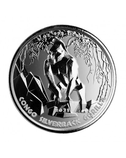 Congo 2021  Silverback -  Silberrücken Gorilla Silber