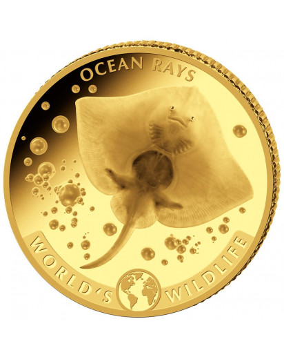 Congo 2023 Rochen - Ocean Rays - World`s Wildlife Serie Gold 0,5 g Kongo