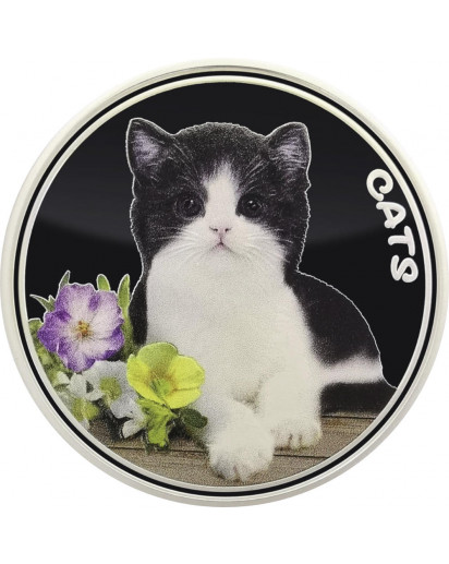 Fiji 2022 CATS Silber 1 oz  FARBE  Fidschi Inseln 2022