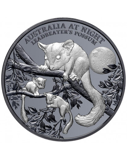 Niue 2022  Hörnchenbeutler  Serie: Australien bei Nacht Silber 1 oz  Black Proof