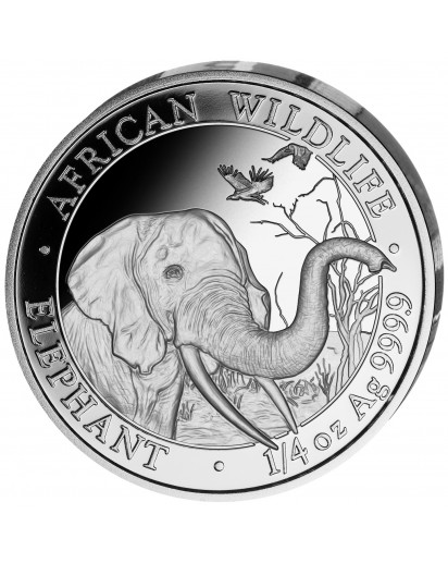 Somalia 2018   Elefant 1/4  oz Silber