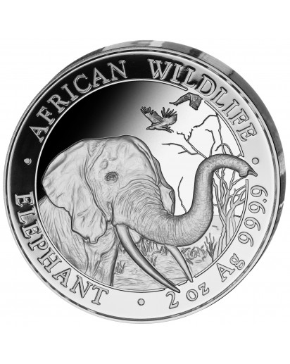 Somalia 2018   Elefant   2 oz  Silber