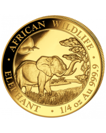 Somalia 2019   Elefant  Gold 1/4 oz