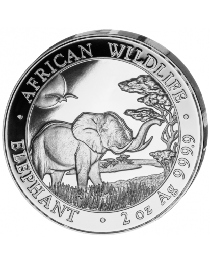 Somalia 2019   Elefant   2 oz  Silber