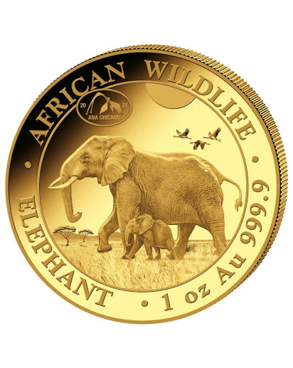 Somalia 2021   Elefant Privy  ANA  Gold 1 oz  Auflage 100 Stück 