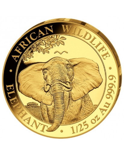 Somalia 2021   Elefant    Gold 1/25 oz