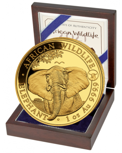 Somalia 2021   Elefant Privy  Ochse 1 oz Gold Auflage 100 Stück