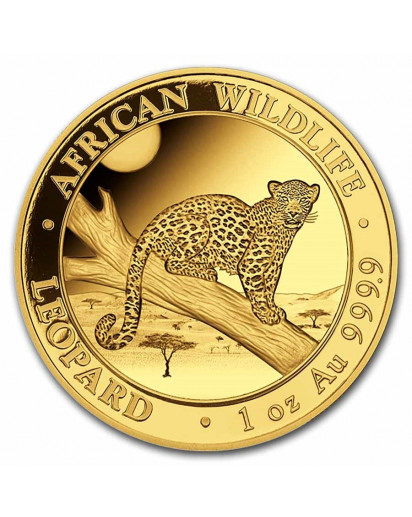 Somalia 2021  Leopard  Gold 1 oz