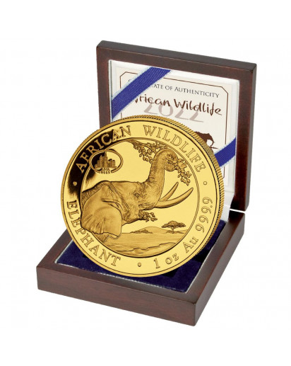 Somalia 2022  Elefant Privy  ANA   Chicago  1 oz Gold