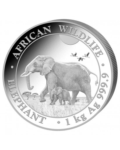 Somalia 2022  Elefant 1 Kilo Silber