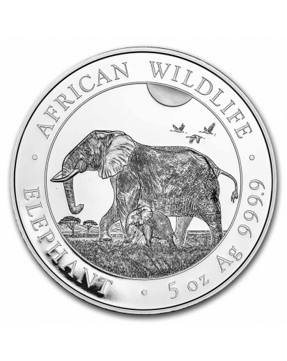 Somalia 2022  Elefant  5 oz Silber