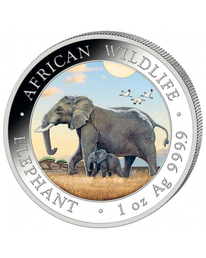 Somalia 2022  Elefant 1 oz Silber FARBE