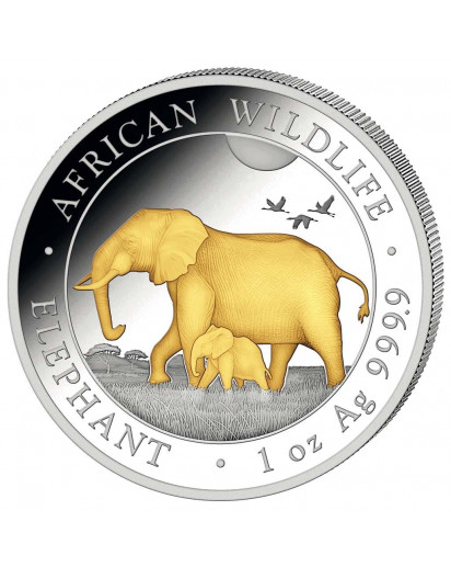 Somalia 2022  Elefant 1 oz Silber VERGOLDET