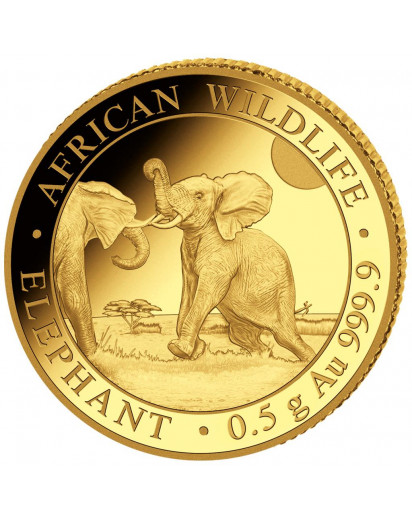 Somalia 2024   Elefant    Gold 0,5 g