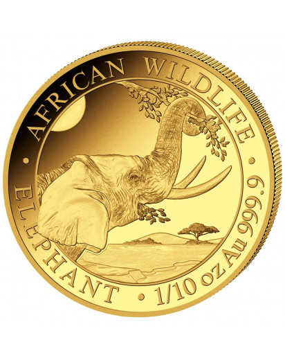 Somalia 2023  Elefant  Gold 1/10 oz