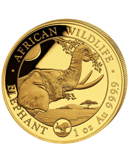 Somalia 2023   Elefant Privy  HASE 1 oz Gold Auflage 100 Stück