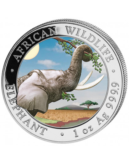 Somalia 2023  Elefant 1 oz Silber FARBE