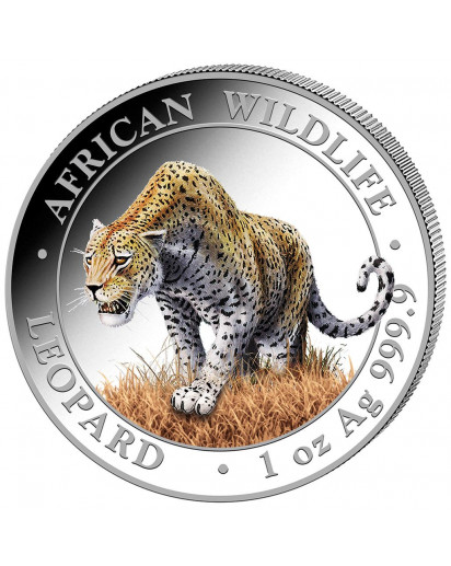 Somalia 2023  Leopard 1 oz Silber  FARBE
