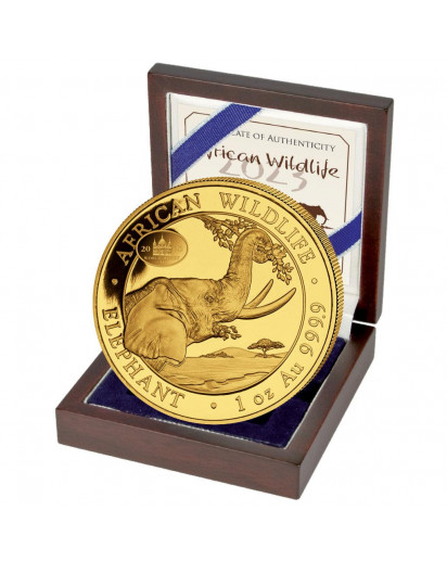 Somalia 2023   Elefant WMF Privy  BERLINER DOM  Gold 1 oz  Auflage 100 Stück 