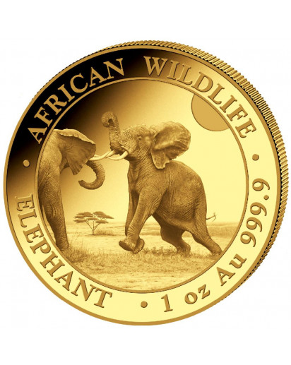 Somalia 2024  Elefant  Gold 1 oz