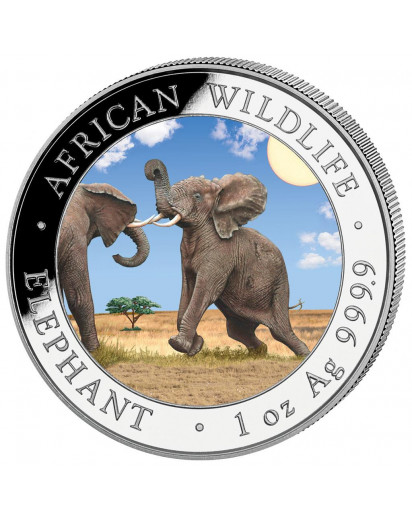Somalia 2024  Elefant 1 oz Silber  FARBE