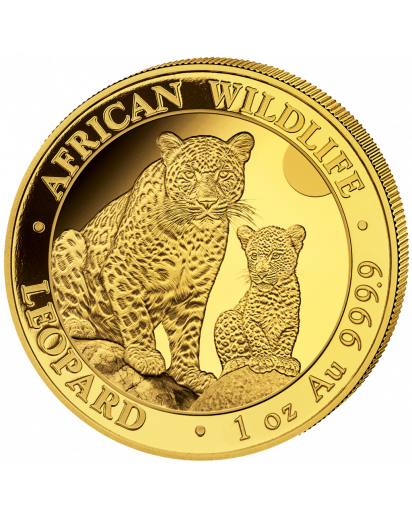 Somalia 2024 Leopard  Gold 1 oz