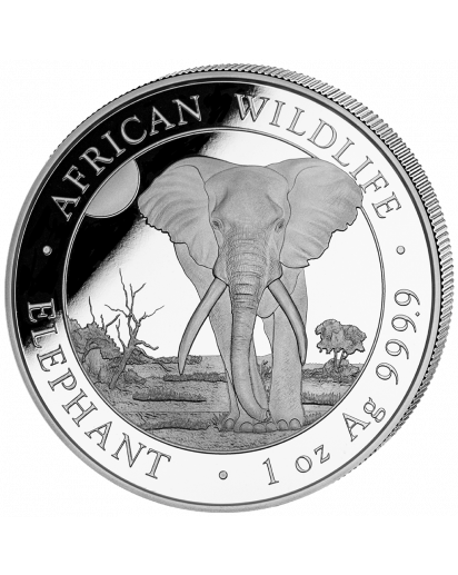 Somalia 2025  Elefant 1 oz Silber