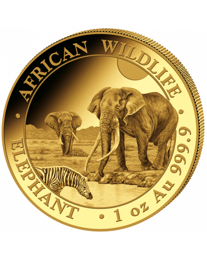 Somalia 2026  Elefant  Gold 1 oz