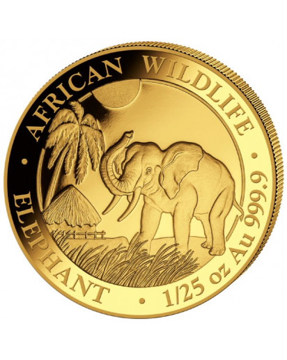 Somalia 2017   Elefant    Gold 1/25 oz