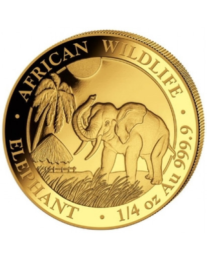 Somalia 2017   Elefant  Gold 1/4 oz