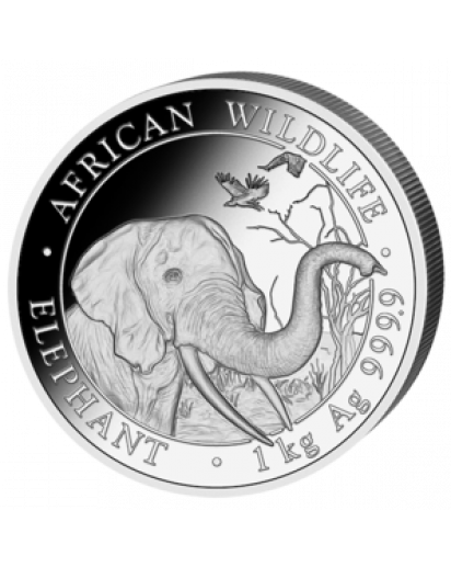 Somalia 2018   Elefant  Silber 1 Kilo  