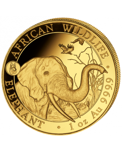 Somalia 2018   Elefant Privy Mark Hund 1 oz Gold