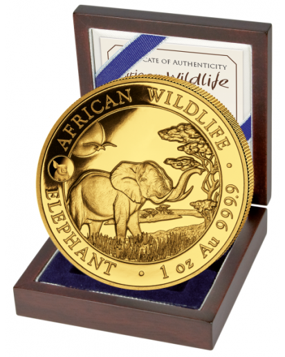 Somalia 2019   Elefant Privy  Schwein 1 oz Gold Auflage 100 Stück