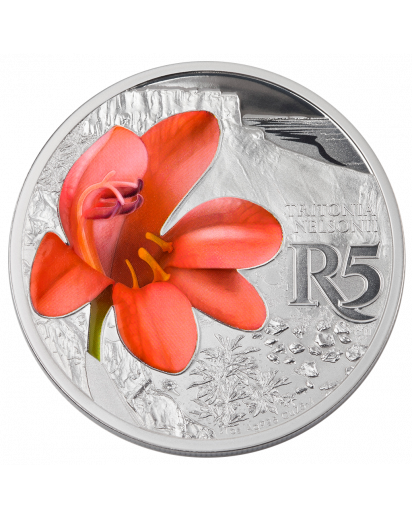Südafrika 2018 Waterberg Biosphärenreservat Orange Tritonia Silber 1 oz PP