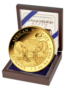 Somalia 2019   Elefant Privy  ANA  Gold 1 oz  Auflage 100 Stück 
