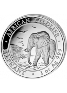 Elefant 2010 Somalia 1 oz Silber
