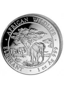 Elefant 2012 Somalia 1 oz Silber