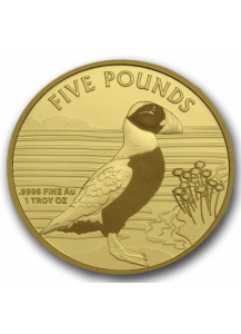 Alderney 2019 Puffin - Papageientaucher Gold 1 oz  100 Stück